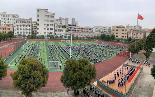 西區社區 黨建引領善治理,聚力發展促振興